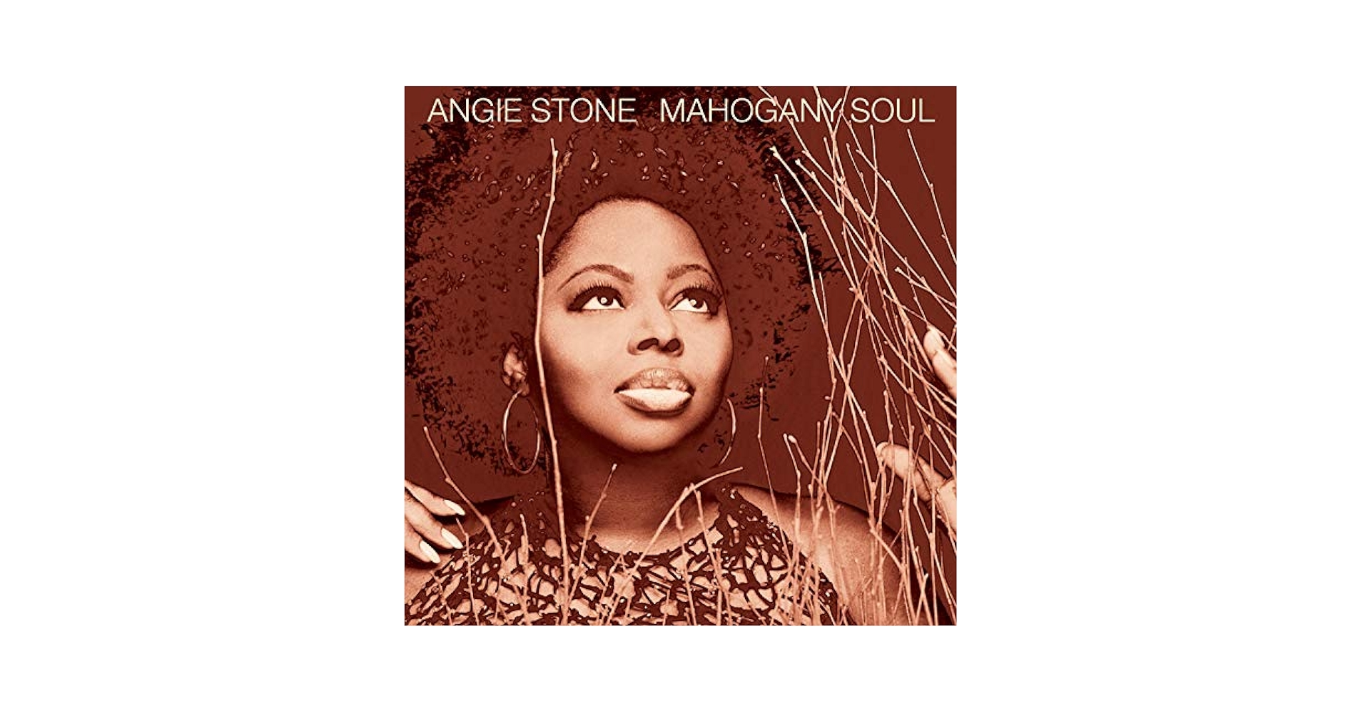 オリジナル盤 Angie Stone Mahogany Soul レコード Angie Stone｜Mahogany Soul (LP)｜レコード通販｜vivrantdiscstore